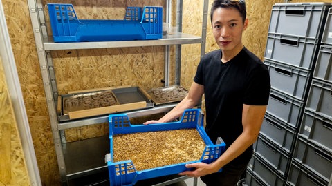 Geschäftsführer Gia Tien Ngo mit einer Box voller Mehlwürmer