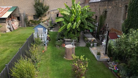 Ein Blick in den Garten mit Bananenstaude von Elke Müller in Stutensee (Landkreis Karlsruhe).