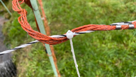 Ein Elektrozaun soll gegen den Wolf schützen.
