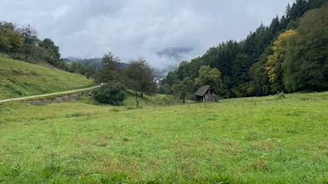 Ein Blick in die Landschaft des Murgtals.