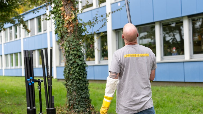 Neue Bekämpfungsmethode asiatische Hornisse