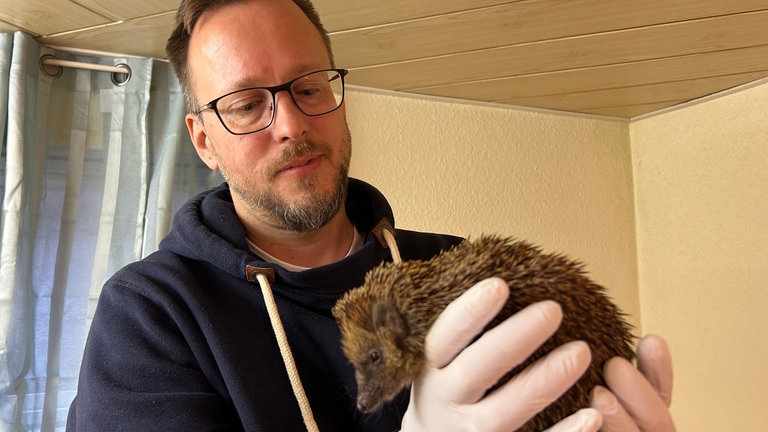 Michael Speer von der Igelhilfe Nadelkissen Karlsruhe & Umgebung hält einen Igel in seinen Händen.