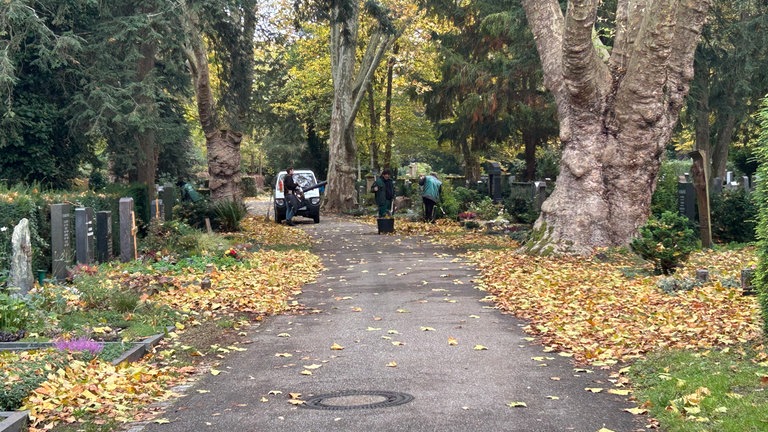 Auf dem Hauptfriedhof in Karlsruhe werden vor Allerheiligen Berge von Laub weggemacht.