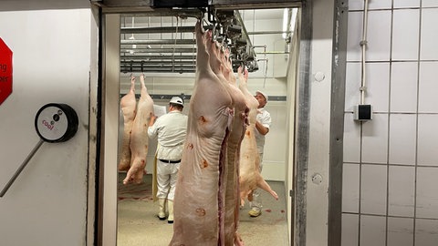 Hängende Tierhälften im Schlachthof Bühl.