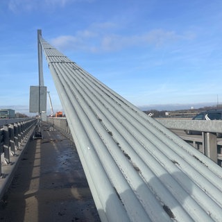 Die Tragseile der Rheinbrücke Maxau in Karlsruhe.