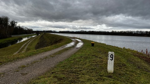 Steigendes Grundwasser verursacht Probleme in Rheinau und Kehl.