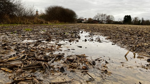 Steigendes Grundwasser verursacht Probleme in Rheinau und Kehl.