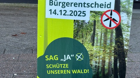 Bürgerentscheid über vier Windräder im Bruchsaler Wald 