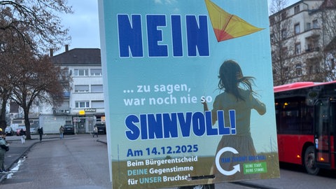 Bürgerentscheid über vier Windräder im Bruchsaler Wald 