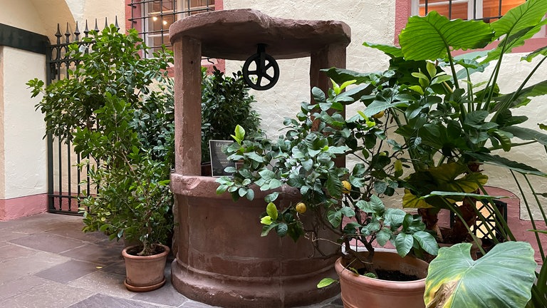 Früher gab es hier das Gourmet-Restaurant von Starkoch Armin Röttele im Schloss.