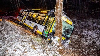 Ein Linienbus ist bei Ebhausen eine Böschung hinabgerutscht und gegen einen Baum geprallt.