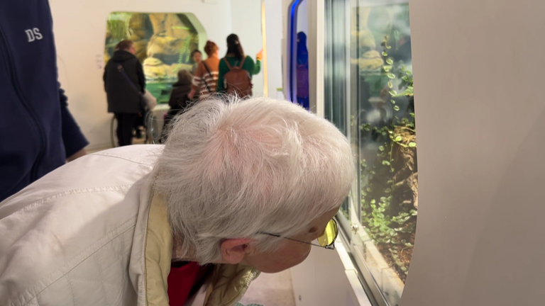 Eine Demenzpatientin guckt sich ein Terrarium im Naturkundemuseum Karlsruhe an.