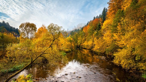 Die Murg im herbstlichen Farbenspiel