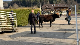 Dreharbeiten in Enzklösterle: Für manche Szenen mussten sogar Straßen gesperrt werden.