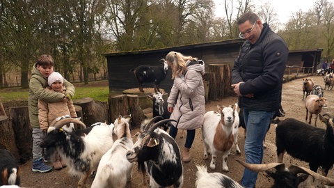 Ausflugstipps für Bretten: Tierpark, Stadtführung und ehemaliger Wachturm