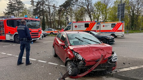 Ampelausfall in Karlsruhe: Ameisen sind Schuld an technischem Defekt