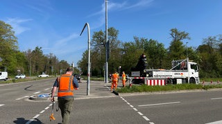 Arbeiter des Tiefbauamts Karlsruhe an der von Ameisen betroffenen Ampel