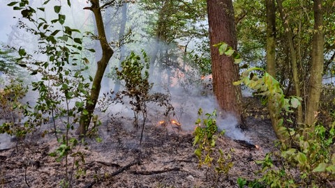 Ein Feuer ist in einem Wald bei Bruchsal ausgebrochen.