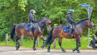 Berittene Polizisten beim Oberligaspiel des KSC II gegen den SSV Reutlingen. Nach Ausschreitungen werden 36 Personen festgenommen. 