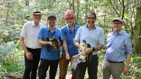 Namensgeber der Fischadler Luke und Leia Andre Baumann (zweiter von rechts) und NABU-Vogelexperte Daniel-Schmidt-Rothmund (dritter von rechts) bei Beringung in der Nähe von Rastatt.