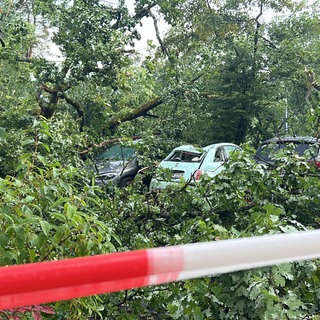 Umgestürzte Bäume in Karlsruhe