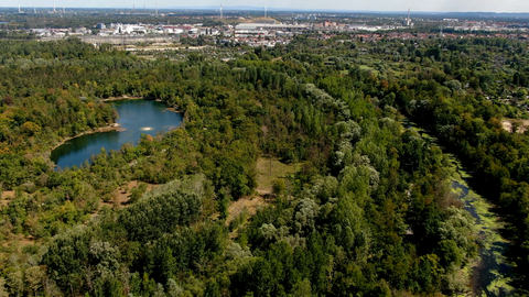 Drohnenbild der Karlsruher Rheinauen mit Stadtgebiet im Hintergrund