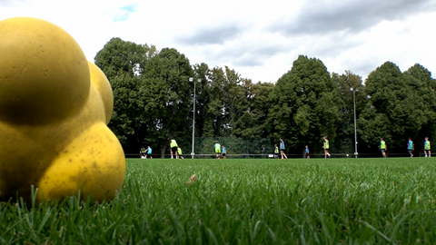 Ein unförmiger gelber Ball auf einem Rasenplatz