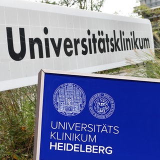 Universitätsklinikum Mannheim Heidelberg Fotocollage