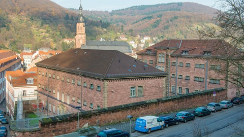 Der "Faule Pelz" in Heidelberg