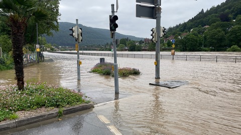 Hochwasser in Heidelberg
