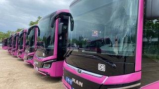 Die Busse des Schienen-Ersatzverkehrs der Riedbahn