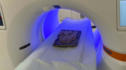 Der Schädel des Ursauriers "Stenokranio Boldi", der bei Kusel entdeckt wurde, im CT in Mannheim.