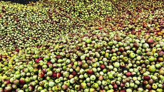 Grube Streuäpfel nah