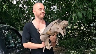 Gefundene Schnappschildkröte