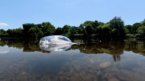 Eine Flaschenpost treibt auf dem Neckar
