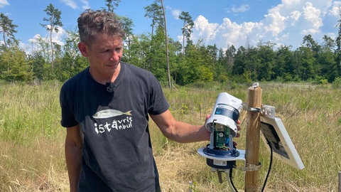 Tröpfchenbewässerung im Wald