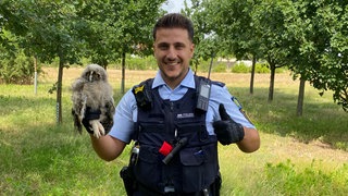 Ein Polizist hält eine Eule in der Hand