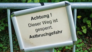 Schild mit einem Hinweis, dass der Weg wegen Astbruchgefahr gesperrt ist.