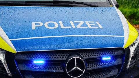 Polizeiauto mit Blaulicht (Symbolfoto)