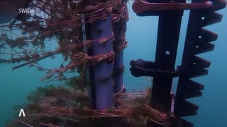 Unterwasseraufnahme Mähroboter