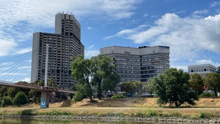 Das Mannheimer Collini-Center