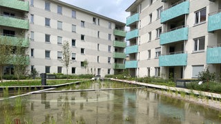 Beim ökologischen Wohnprojekt Aubuckel wird Regenwasser in einem künstlichen Teich gespeichert.