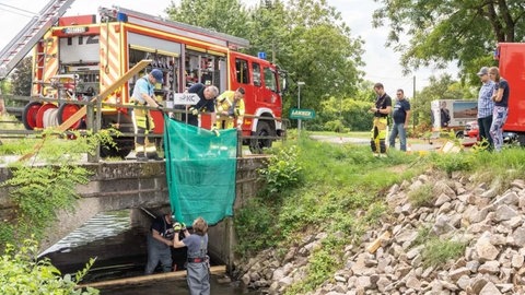 Einsatz der Freiwilligen Feuerwehr Nußloch im Leimbach wegen Fischsterben