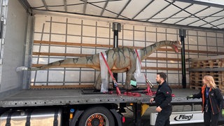 Transport eines Modells eines Europasaurus holgeri per Lkw 