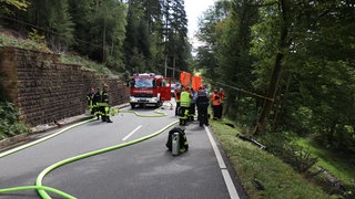 Viele Einsatzkräfte und Feuerwehrwagen stehen auf einer Landstraße.