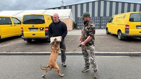 Hundetraining für Post- und Paketzusteller