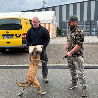 Hundetraining für Post- und Paketzusteller