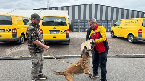 Hundetraining in Ketsch auf dem DHL Betriebsgelände. DHL Paketzusteller Fahri Abali übt den Ernstfall, wie er sich verhalten sollte, falls ihn bei der Paketübergabe ein Hund angreifen sollte.