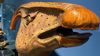 Dinosaurierkopf mit bunter Nase