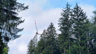 So sieht ein über die Jahre eingewachsenes Windrad am Greiner Eck zwischen Neckarsteinach und Hirschhorn aus.
